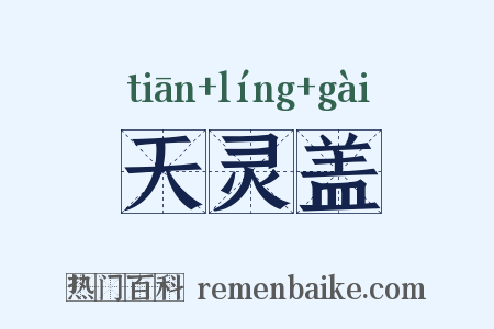 天灵盖是什么意思的图片